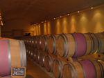 Château Mangot ( Saint Emilion Grand Cru) (2) 033