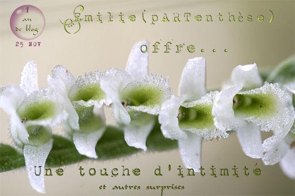 Jeux, jeux et RE jeux ! Emilie_pARTenTh_se__Un_an_de_blog_