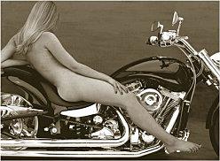 lindsay lohan harley 2