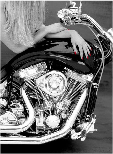 lindsay lohan harley 4