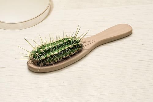 C'est vendredi, c'est le Bordel #41 C'est vendredi, c'est le Bordel #41