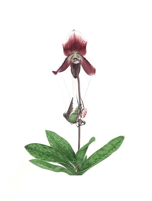 C'est vendredi, c'est le Bordel #41 C'est vendredi, c'est le Bordel #41