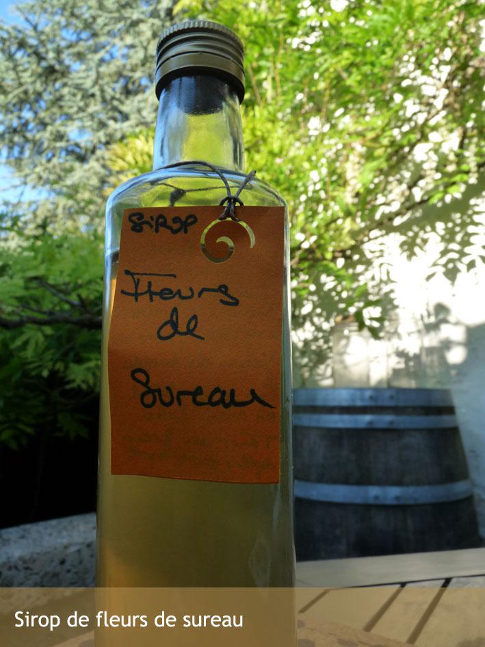 sureau1 sureau1
