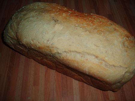 Pain aux graines de sésame et d'amarante cuisson au Cobb PA250039