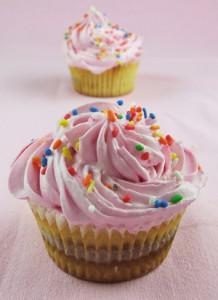 Cup Cake rose Cup Cake rose