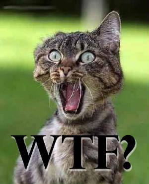 La nuit à Paris : Fais la fête et pète un clown ! La nuit à Paris : Fais la fête et pète un clown !