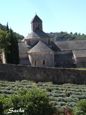L' Abbaye de Sénanque