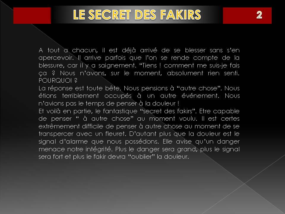 LE SECRET DES FAKIRS Diapositiva2