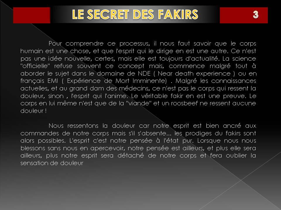 LE SECRET DES FAKIRS Diapositiva3