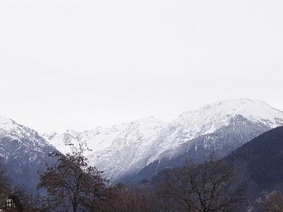 CLICHES DU DIMANCHE... CLICHES DU DIMANCHE...