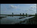 Le film d’environnement fait son festival ! Le film d’environnement fait son festival !