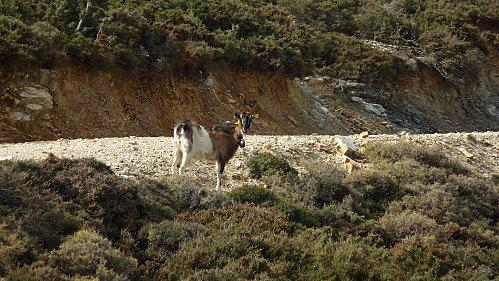 Périple P1050752.JPG