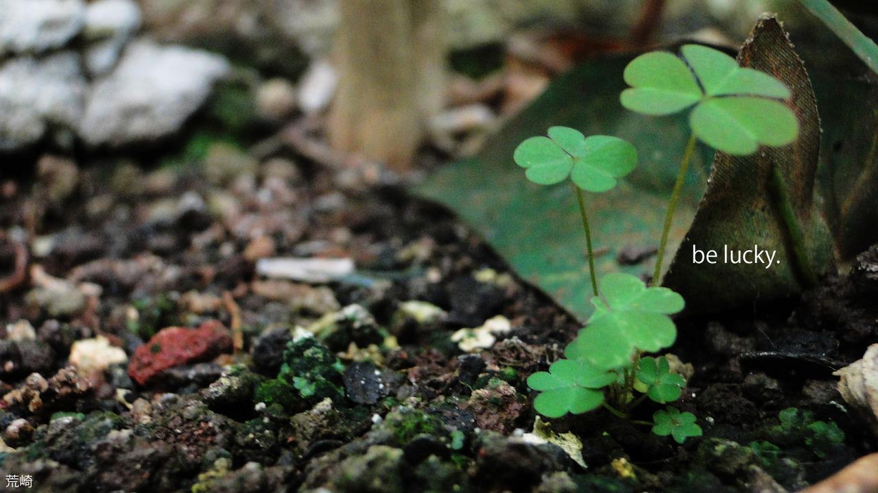 lucky girl So maybe I’m a lucky girl!