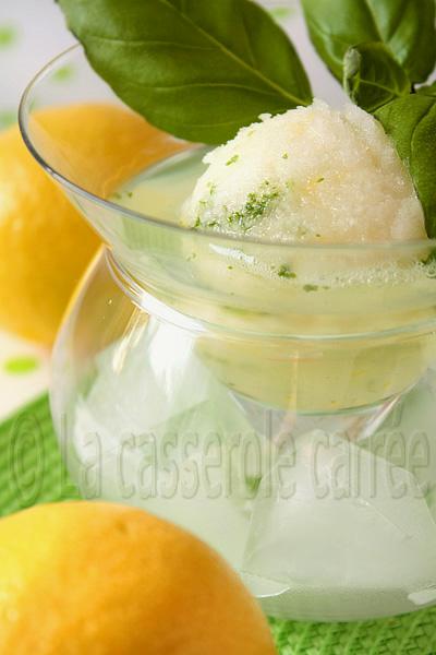 Sorbet citron et basilic sur vodka au limoncello façon trou normand Sorbet citron et basilic sur vodka au limoncello façon trou normand