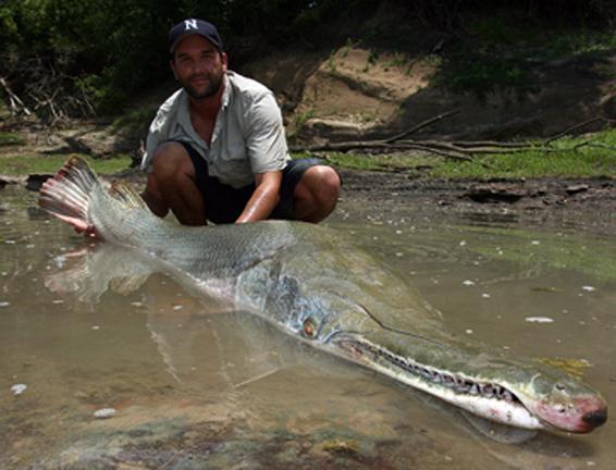 1-alligator-gar-atractosteus-spatula CROC A DEAL.
