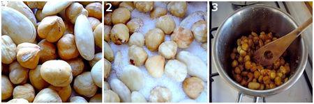 Pâte de praliné maison MONTAGE_1