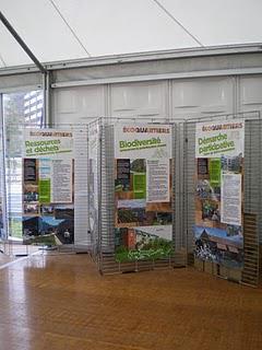 Eco quartiers : Pour qui ? Pour Quoi ? Comment ? Eco quartiers : Pour qui ? Pour Quoi ? Comment ?