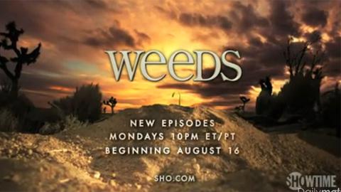 Weeds saison 7 ... Nancy continue une saison de plus Weeds saison 7 ... Nancy continue une saison de plus