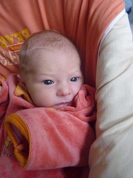 De retour à la maison !! 4.jpg