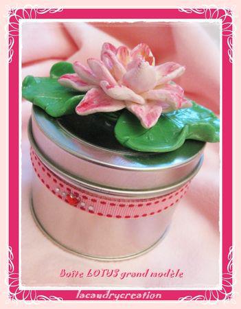 petites ou grandes des boites à trésors boite_acier_lotus_G_M
