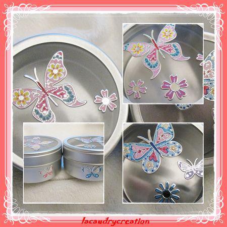 petites ou grandes des boites à trésors boite_pm_papillons_2