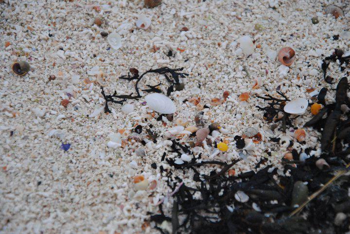 norway Made in Norway :: day #2