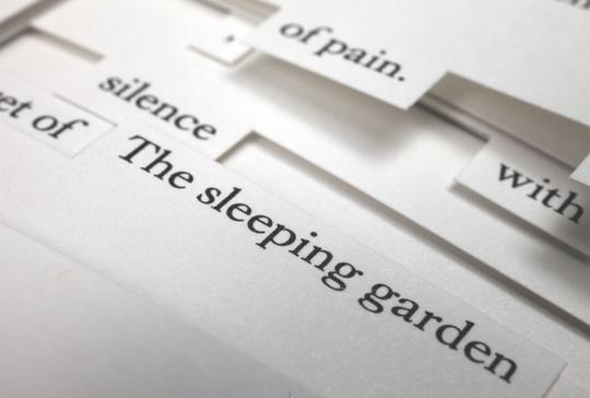 Tree of Codes, Jonathan Safran Foer