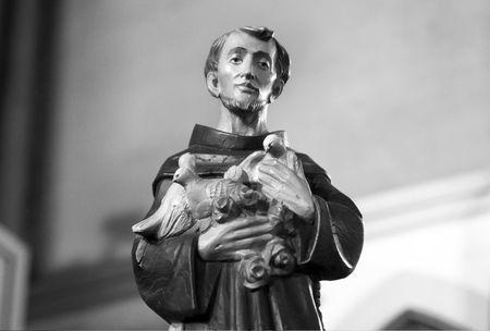 Messe des animaux à Sainte-Rita ste_rita4195