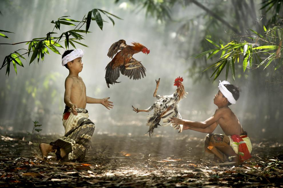 National Geographic 2010