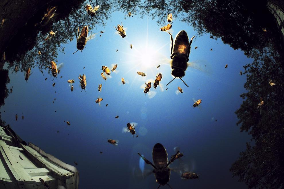 National Geographic 2010