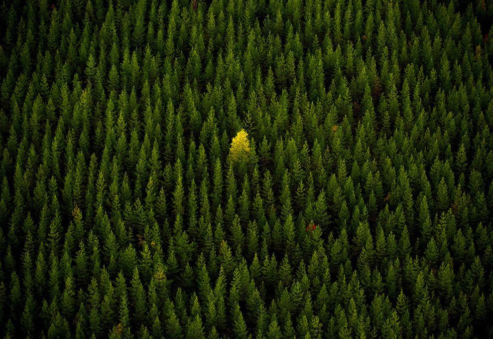 National Geographic 2010