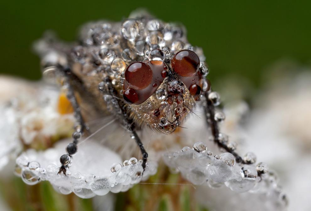 National Geographic 2010