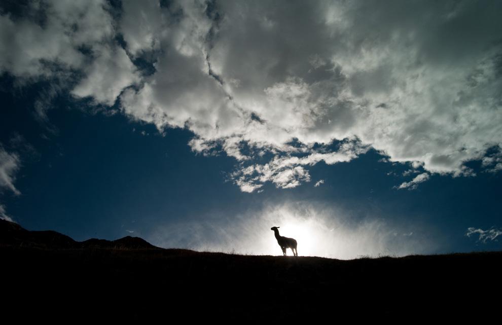 National Geographic 2010
