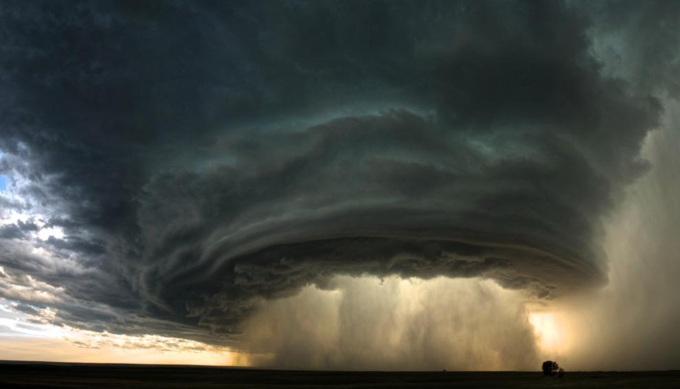 National Geographic 2010
