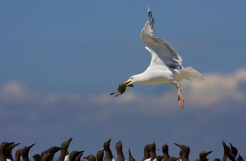 National Geographic 2010