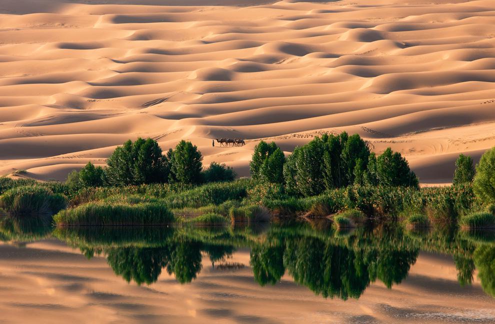 National Geographic 2010