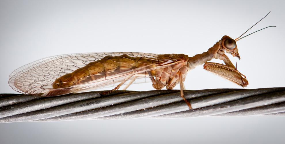 National Geographic 2010