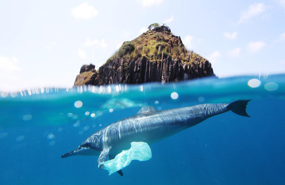 National Geographic 2010