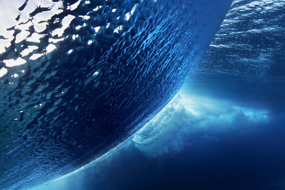 National Geographic 2010