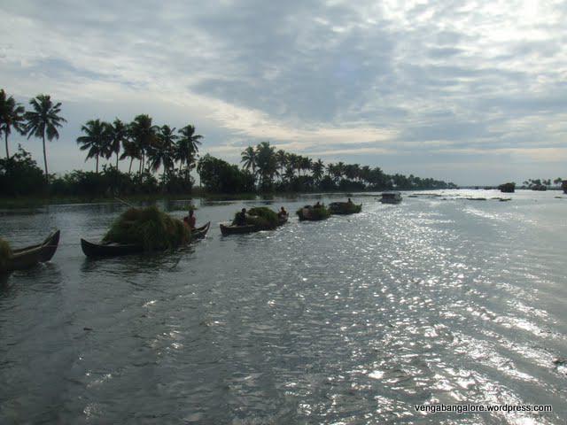 Kérala 4: Backpackers on Backwaters