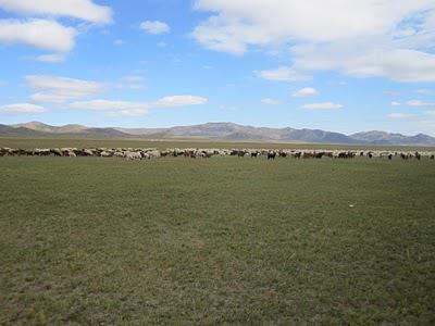 Cycling Mongolia: nous avons roulé sous le ciel mongol...