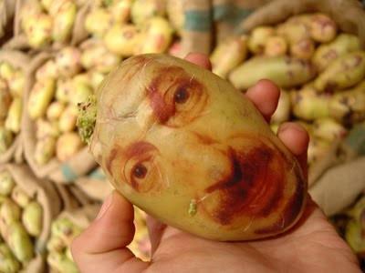 visage pomme de terre 2.jpg