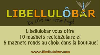 Print - copie Gagnez un cadeau de noel avec Libellulobar !