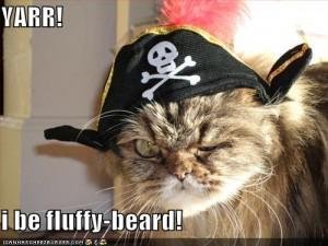funny-pictures-pirate-cat pirate lolcat