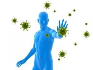 Le système immunitaire, notre défense naturelle