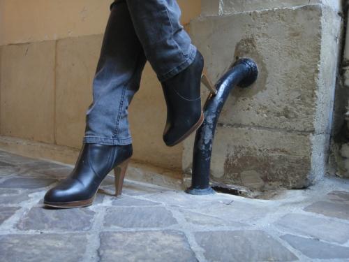 DSC03647 Dentelle et Cache-oreilles