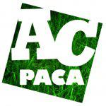 Lettre à M. Patrick Mennucci (Vice-président en charge de la culture, du patrimoine et du tourisme au Conseil régional PACA) JPG - 32 ko