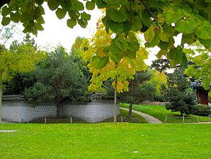 Le jardin d'acclimatation Paris-parc-2899.JPG