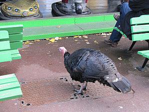 Le jardin d'acclimatation Paris-parc-2897.JPG