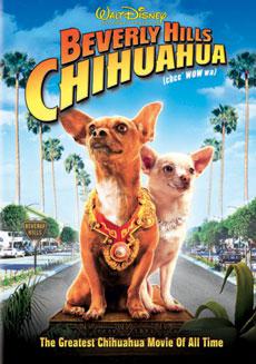 La chihuahuamania
